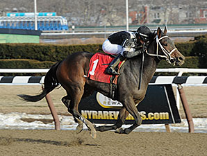Joint Return wins the 2014 Busher Stakes.