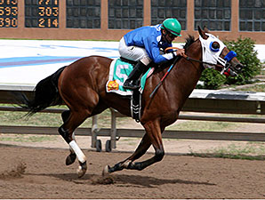 Joker's Touch wins the 2013 Don Juan de Onate