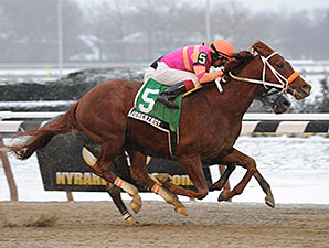 Jonesy Boy wins the 2013 Queens County Stakes.