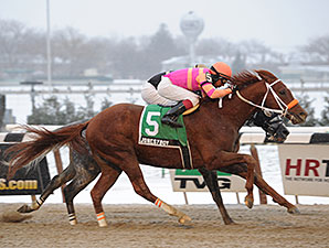 Jonesy Boy wins the 2013 Queens County Stakes.