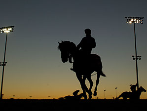 Joshua Tree - Woodbine, October 11, 2012.