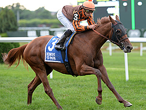 Joy wins the 2014 Perfect Sting Stakes.