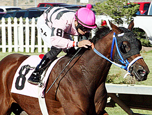 Joyful Tap win the 2013 Chamisa Handicap.