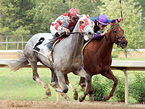 Joyful Victory in the 2011 Fantasy Stakes.