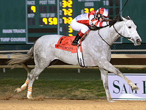 Joyful Victory wins the 2013 Houston Ladies Classic. 