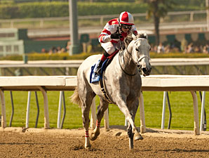Joyful Victory wins the 2013 Santa Margarita.
