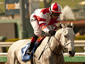 Joyful Victory wins the 2013 Santa Margarita.