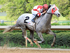 Joyful Victory in the 2011 Fantasy Stakes.