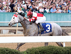 Joyful Victory wins the 2011 Honeybee.