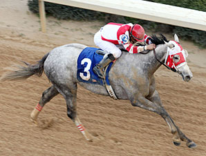 Joyful Victory wins the 2011 Honeybee.