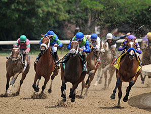 Juanita wins the 2012 La Troienne.