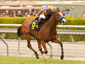 Jubliant Girl wins the 2013 Runway Stakes.