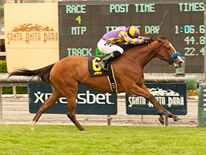 Jubliant Girl wins the 2013 Runway Stakes.