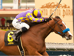 Jubliant Girl wins the 2013 Runway Stakes.