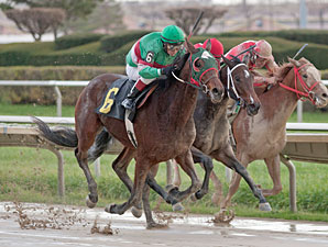 Julmae wins the 2012 Showtime Deb.