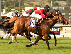 Juniper Pass wins the 2011 San Juan Capistrano.