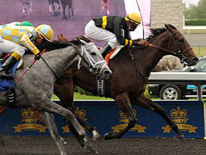Just Got In wins the My Dear Stakes.