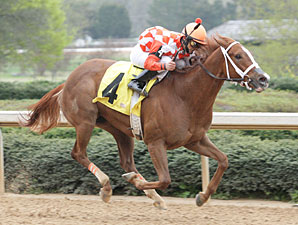 Just Jenda wins the 2009 Honey Bee.