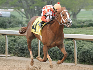 Just Jenda wins the 2009 Honey Bee.