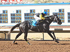 Justanoldsong wins the 2012 SunRay Park and Casino Handicap.