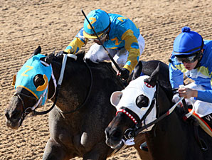 Justin Phillip wins the 2013 Count Fleet Sprint Handicap.
