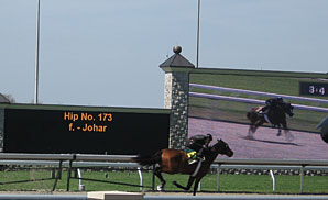 Hip173fJoharVassar: Photo Credit Christine A. Wittmer