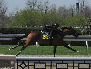 Hip85cSmartyJonesAlaskaQueen: Photo Credit Christine A. Wittmer