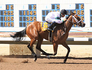 K B 's Princess wins the 2012 C.O. Ken Kendrick Memorial S.