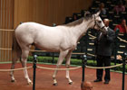 Keeneland September Sale Day 2 Recap, 2012