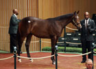 2012 Keeneland September Yearling Sale Day 4 Recap
