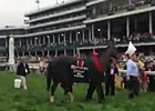 KY Derby: Orb Leaves the Winner's Circle