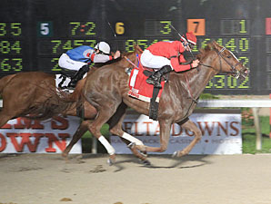 Kaminari wins the 2013 Gold Coast Stakes.