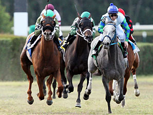 Kanturk Kid wins the 2012 Arthur Appleton Juvenile Turf.