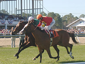 Karelian wins the 2010 Tampa Bay Breeders' Cup.