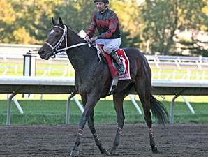 Karmageddon wins the 2010 Princeton Stakes.