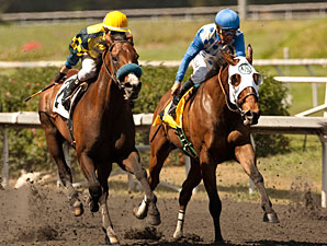 Kate's Event wins the Tiznow Stakes.