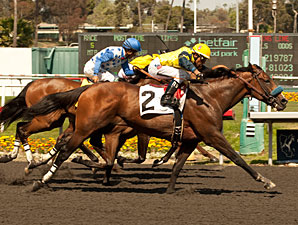 Kate's Event wins the Tiznow Stakes.