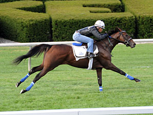 Kathmanblu works at Keeneland 10/10/2011.