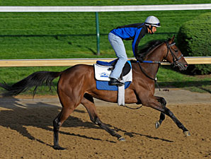 Kathmanblu - Churchill Downs 04/28/11.