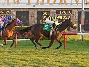 Katie the Lady wins the 2013 Illini Princess Handicap.