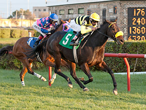 Katie the Lady wins the 2013 Illini Princess Handicap.