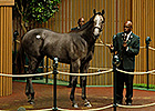 Keeneland September - Hip 110 Sale Ring Bidding Keeneland September - Hip 110 Sale Ring Bidding