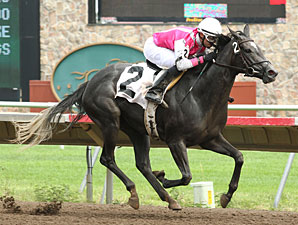Keewatin Ice in the MTA Stallion Auction Stakes.