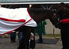 Kentucky Derby Winner Orb Gets a Bath