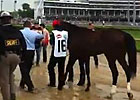 2013 Kentucky Derby: Walkover with Orb