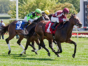 Kepi wins the 2012 Lady Lionel.