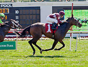 Kepi wins the 2012 Lady Lionel.