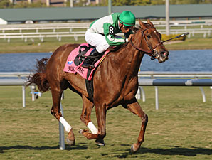 Khancord Kid wins the 2010 Herecomesthebride.