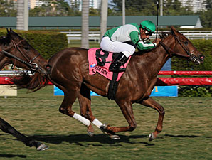 Khancord Kid wins the 2010 Herecomesthebride.