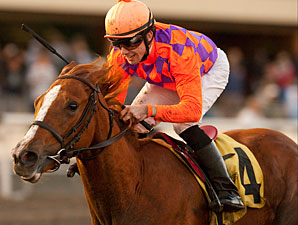 Killer Graces wins the 2011 Hollywood Starlet.